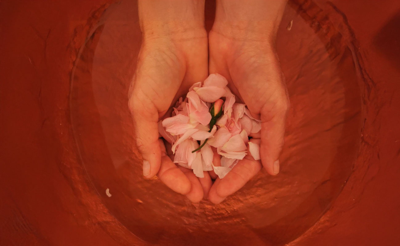 Flores nas mãos